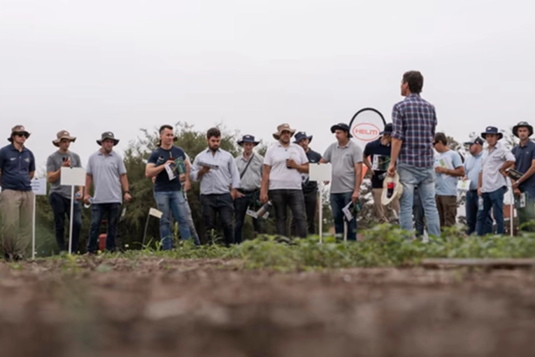 Una hist&oacute;rica firma alemana del agro se va de Argentina tras 23 a&ntilde;os: presi&oacute;n fiscal y p&eacute;rdida de rentabilidad