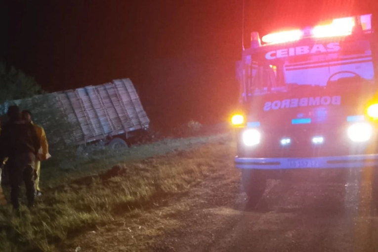 Un cami&oacute;n cargado de tarimas de madera despist&oacute; cuando se dirig&iacute;a hacia Buenos Aires
