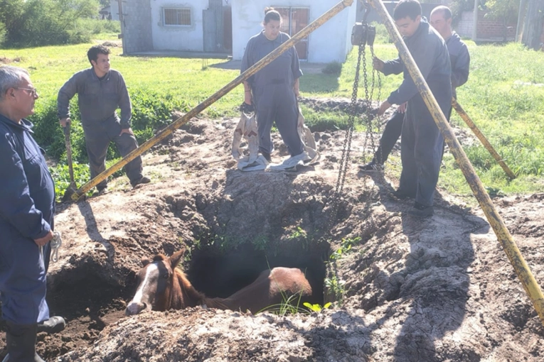 Los Bomberos de Gualeguaych&uacute; rescataron un caballo que cay&oacute; en un pozo en la zona oeste