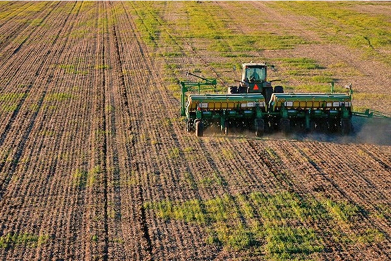 La rentabilidad del trigo entrerriano depender&aacute; de la gesti&oacute;n de costos y alquileres