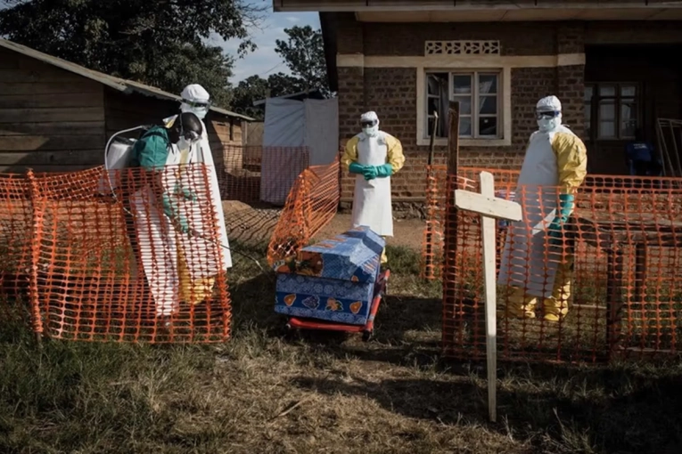La OMS declar&oacute; la emergencia sanitaria global ante el avance del &eacute;bola en &Aacute;frica