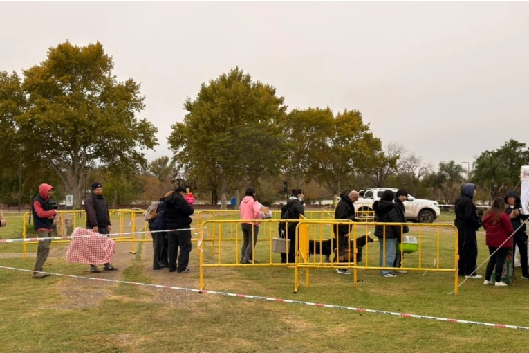 El programa municipal de castraciones gratuitas se acerca a las 10 mil intervenciones