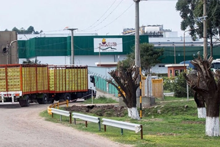 La planta de Granja Tres Arroyos cerr&oacute; sus puertas y crece la incertidumbre por mil empleos