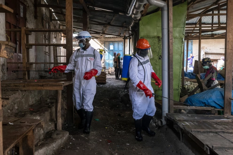 Detectaron tres buques provenientes de zonas afectadas de &Eacute;bola rumbo a Argentina