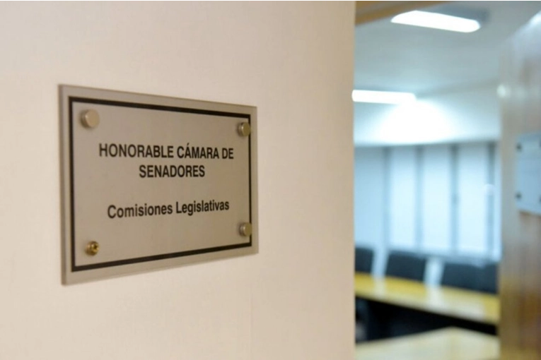 &iquest;De qu&eacute; manera comenzar&aacute; a tratarse la reforma previsional en el Senado?