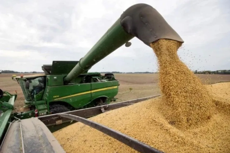 La sequ&iacute;a golpe&oacute; al sudeste: la producci&oacute;n de soja en Entre R&iacute;os cay&oacute; un 22% en la &uacute;ltima campa&ntilde;a