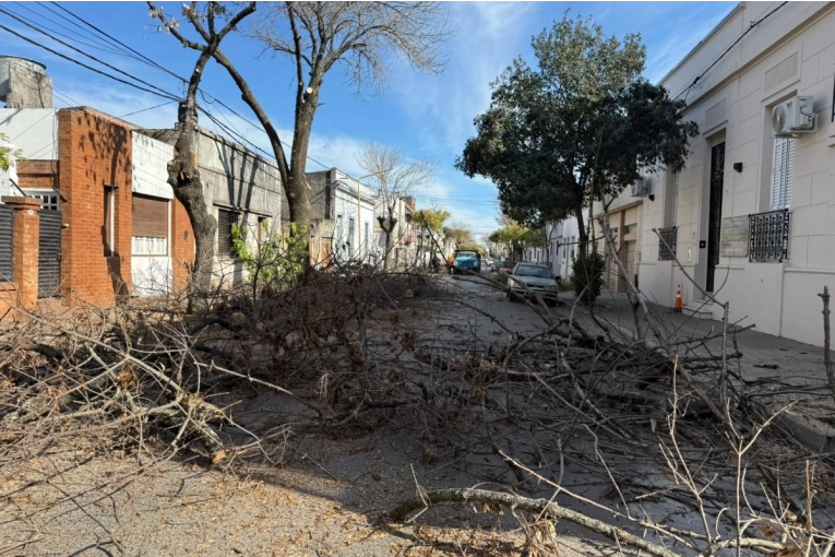 La poda invernal avanza  sobre Doello Jurado hacia la Costanera