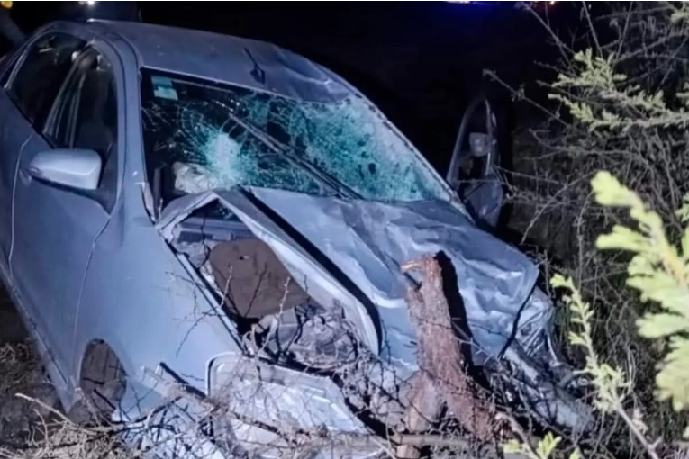 Choc&oacute; contra un vacuno en Ruta 2, perdi&oacute; el control del auto y fue hospitalizado