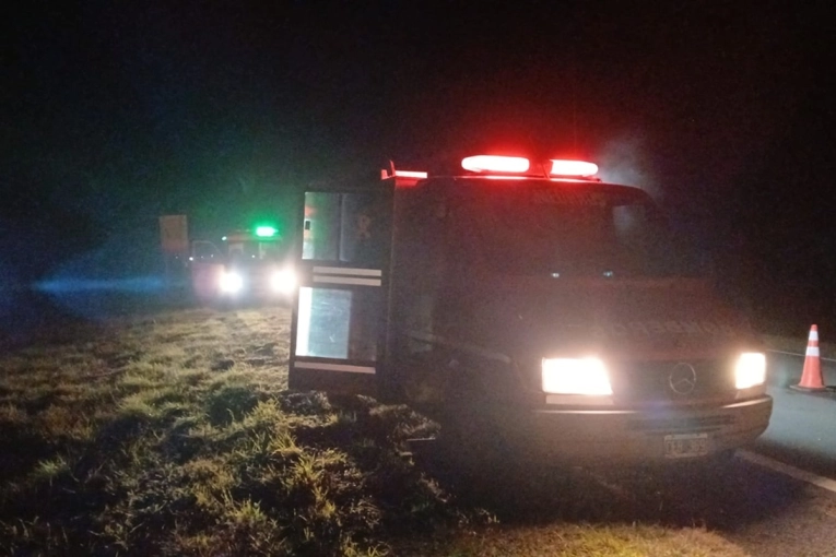 Un cami&oacute;n choc&oacute; contra un vacuno sobre la Ruta 12 y no hubo personas lesionadas