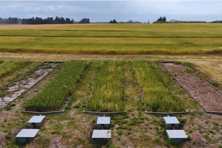 Investigadores entrerrianos del INTA desarrollan indicadores para anticipar la degradaci&oacute;n de la tierra